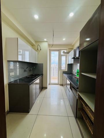 Motia Blue Ridge 1